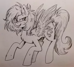 Size: 2888x2636 | Tagged: safe, artist:nightydream, derpibooru import, oc, oc:sunrise skies, pegasus, pony, female, image, jpeg, mare, monochrome, solo, traditional art