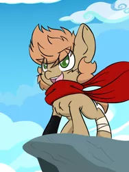 Size: 1536x2048 | Tagged: safe, artist:steelsoul, derpibooru import, oc, oc:himmel, earth pony, pony, bandage, clothes, colt, earth pony oc, gloves, happy, herocolt, image, looking ahead, male, png, scarf