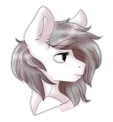 Size: 1200x1300 | Tagged: safe, artist:diantrex, derpibooru import, oc, oc:meel, unofficial characters only, earth pony, pony, bust, image, long mane, looking back, male, png, portrait, simple background, solo, transparent background