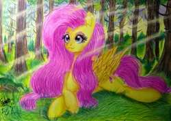 Size: 885x630 | Tagged: safe, artist:shadowingartist, derpibooru import, fluttershy, pegasus, pony, female, forest, image, jpeg, long hair, mare, sitting, smiling, solo, traditional art, tree, wings
