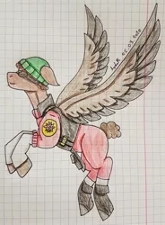 Size: 2393x3255 | Tagged: safe, artist:agdapl, derpibooru import, ponified, pegasus, pony, beanie, clothes, crossover, demoman, graph paper, hat, image, jpeg, male, rearing, signature, solo, stallion, team fortress 2, traditional art, two toned wings, wings