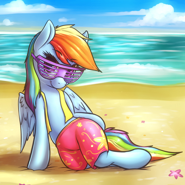 Size: 2000x2000 | Tagged: safe, artist:shydale, derpibooru import, rainbow dash, pegasus, pony, semi-anthro, tanks for the memories, beach, clothes, female, image, jpeg, looking at you, mare, patreon exclusive, shutter shades, smiling, solo, swim trunks, swimsuit, winter swimsuit