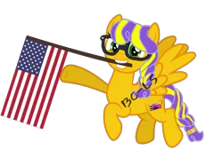 Size: 1419x957 | Tagged: safe, artist:bc-ls, derpibooru import, oc, oc:sunrise glisten, base used, flag, image, png, solo, united states