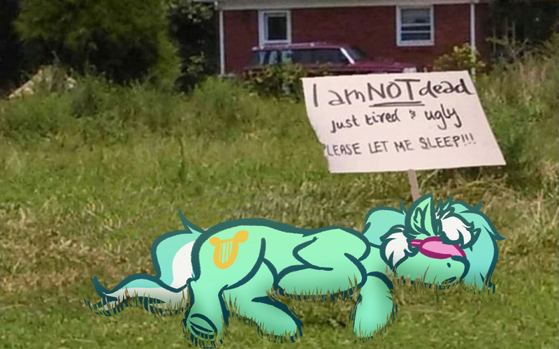 Size: 4000x2500 | Tagged: safe, artist:witchtaunter, derpibooru import, lyra heartstrings, pony, unicorn, ear fluff, image, irl, l.u.l.s., lying down, meme, photo, png, ponies in real life, ponified animal photo, ponified meme, sign, sleeping, solo