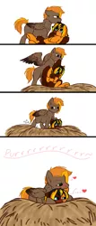 Size: 1024x2392 | Tagged: safe, artist:blackblood-queen, derpibooru import, oc, oc:daniel dasher, oc:singe, unofficial characters only, pegasus, pony, behaving like a bird, biting, blushing, comic, ear bite, gay, grooming, heart, image, jpeg, male, nest, oc x oc, preening, shipping, simple background, white background, wings