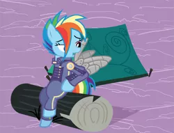 Size: 2429x1856 | Tagged: safe, anonymous artist, derpibooru import, rainbow dash, pegasus, pony, .svg available, alternate timeline, amputee, apocalypse dash, artificial wings, augmented, clothes, crystal war timeline, derpibooru exclusive, eye scar, eyelashes, female, grooming, image, log, looking back, mare, open mouth, outdoors, png, preening, prosthetic limb, prosthetic wing, prosthetics, scar, sitting, solo, tent, vector, wings