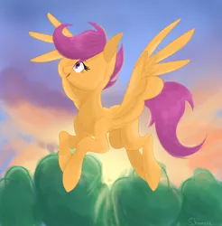 Size: 3318x3378 | Tagged: safe, artist:shamone, derpibooru import, apple bloom, scootaloo, sweetie belle, pegasus, pony, commission, cutie mark crusaders, flying, full body, image, looking up, my little pony, older, older scootaloo, png, solo, sunrise, sunset