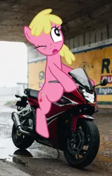 Size: 634x1000 | Tagged: safe, artist:quanno3, artist:topsangtheman, derpibooru import, edit, cherry berry, earth pony, pony, background pony, derp, dexterous hooves, female, image, irl, mare, motorcycle, one eye closed, open mouth, photo, png, riding, tunnel, vector
