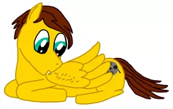 Size: 2644x1674 | Tagged: safe, artist:sb1991, derpibooru import, oc, oc:film reel, pegasus, grooming, image, jpeg, preening, simple background, solo