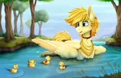 Size: 8268x5315 | Tagged: safe, artist:buvanybu, derpibooru import, oc, oc:aurryhollows, unofficial characters only, bird, duck, pegasus, pony, absurd resolution, behaving like a duck, blurred background, cheek fluff, chest fluff, collar, colored pupils, commission, cute, duckling, feather, folded wings, grass, image, male, mountain, neckerchief, open mouth, outdoors, pegaduck, png, pond, sky, smiling, stallion, swimming, tree, water, wings, ych result