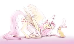 Size: 1577x942 | Tagged: safe, artist:deygira-blood, derpibooru import, fluttershy, jackalope, pegasus, pony, rabbit, animal, butt fluff, clothes, cute, eye contact, face down ass up, female, fluffy, glare, grin, hoof fluff, image, kneeling, leg fluff, looking at each other, mare, png, realistic, shoulder fluff, shyabetes, simple background, smiling, spread wings, sweater, sweatershy, white background, wing fluff, wings