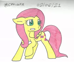 Size: 1010x843 | Tagged: safe, artist:cmara, derpibooru import, fluttershy, pegasus, pony, female, gritted teeth, image, jpeg, mare, raised hoof, scared, simple background, solo, traditional art, white background