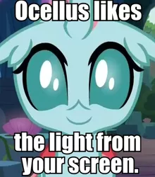 Size: 448x510 | Tagged: safe, derpibooru import, screencap, ocellus, changedling, changeling, uprooted, breaking the fourth wall, bugs doing bug things, caption, cropped, cute, diaocelles, female, fourth wall, image, image macro, looking at you, meta, png, smiling, solo, text