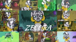 Size: 1968x1109 | Tagged: safe, derpibooru import, edit, edited screencap, editor:quoterific, screencap, gabby, zecora, gryphon, parasprite, spider, zebra, a health of information, bridle gossip, filli vanilli, it isn't the mane thing about you, luna eclipsed, magic duel, princess twilight sparkle (episode), she talks to angel, swarm of the century, the cutie pox, the cutie re-mark, the fault in our cutie marks, what about discord?, angry, bipedal, bracelet, duo, duo female, ear piercing, earring, female, gritted teeth, image, jewelry, mouth hold, neck rings, open door, open mouth, piercing, png, poison joke, quadrupedal, solo, swamp fever, teeth, walking, zecora's hut