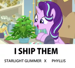 Size: 1026x928 | Tagged: safe, derpibooru import, edit, edited screencap, screencap, phyllis, starlight glimmer, pony, unicorn, a horse shoe-in, cargo ship, cute, female, glimmerbetes, i ship it, image, inkwell, mare, philodendron, phylliglimmer, png, potted plant, quill, scroll, shipping, solo, starlight's office