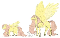 Size: 7093x4494 | Tagged: safe, artist:snspony, derpibooru import, fluttershy, pegasus, pony, rabbit, animal, colored hooves, female, hoers, image, mare, pale belly, png, simple background, solo, spread wings, standing, white background, wings