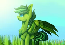 Size: 4320x3000 | Tagged: safe, artist:plushielover, derpibooru import, oc, oc:evergreen feathersong, unofficial characters only, pegasus, commission, day, grass, image, looking up, pegasus oc, png, solo, sunlight, wings, ych result