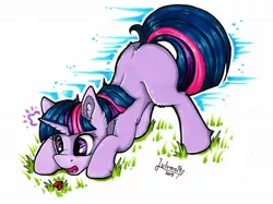 Size: 1920x1439 | Tagged: safe, artist:julunis14, derpibooru import, twilight sparkle, insect, ladybug, pony, unicorn, bent over, blank flank, cute, face down ass up, female, filly, filly twilight sparkle, grass, high res, image, jpeg, markers, signature, solo, traditional art, twiabetes, twilight hates ladybugs, unicorn twilight, young, younger