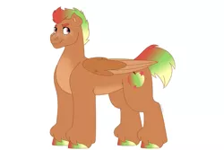 Size: 1280x854 | Tagged: safe, artist:itstechtock, derpibooru import, oc, oc:pazazz apple, hybrid, pegasus, pony, image, interspecies offspring, jpeg, magical lesbian spawn, male, offspring, parent:applejack, parent:autumn blaze, parents:autumnjack, simple background, solo, stallion, two toned wings, white background, wings