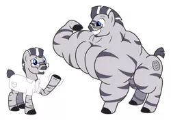 Size: 1243x876 | Tagged: safe, artist:urkel, derpibooru import, oc, oc:mino, unofficial characters only, zebra, clothes, fetish, glasses, growth, image, lab coat, male, muscle expansion, muscle fetish, muscle growth, muscles, overdeveloped muscles, png, scientist, sequence, simple background, smiling, solo, stallion, white background, zebra oc