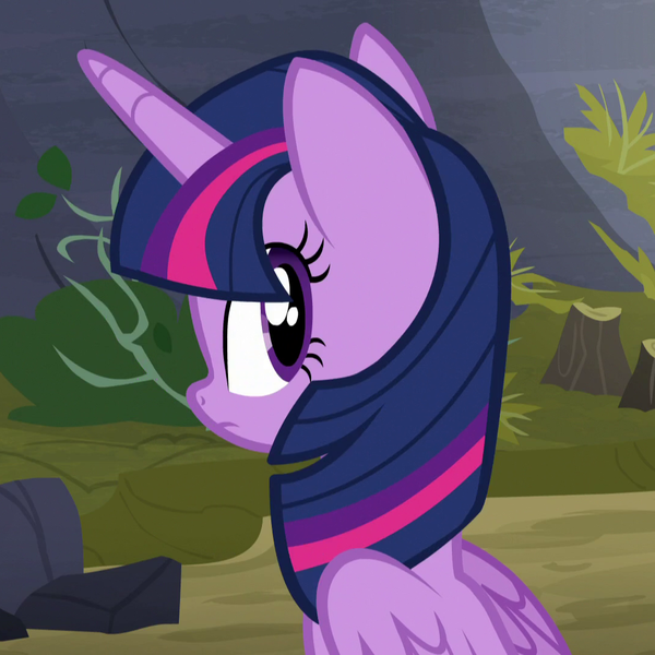 Size: 1080x1080 | Tagged: safe, derpibooru import, screencap, twilight sparkle, twilight sparkle (alicorn), alicorn, pony, the hooffields and mccolts, cute, female, image, looking back, mare, png, sitting, solo, twiabetes