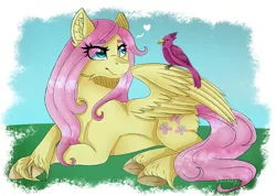 Size: 1351x961 | Tagged: safe, artist:vendy05, derpibooru import, fluttershy, bird, pegasus, pony, eye clipping through hair, female, grass, heart, image, lying down, mare, png, prone, signature, smiling, unshorn fetlocks