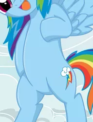 Size: 491x642 | Tagged: safe, artist:kaizenwerx, derpibooru import, edit, rainbow dash, pegasus, pony, belly, bipedal, cropped, featureless crotch, female, image, jpeg, open mouth, pictures of bellies, solo