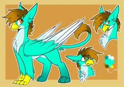 Size: 1069x748 | Tagged: safe, artist:rockin_candies, derpibooru import, oc, oc:goldie, gryphon, beak, chest fluff, image, jpeg, paws, reference sheet, simple background, solo, talons, wings