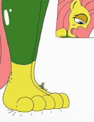 Size: 494x640 | Tagged: suggestive, artist:tenebrousmelancholy, derpibooru import, fluttershy, zephyr breeze, anthro, plantigrade anthro, animated, brother and sister, clothes, digital art, feet, female, fetish, foot fetish, foot focus, foot tapping, frame by frame, giantess, gif, image, leggings, macro, male, micro, shrunken, siblings, size difference, toes