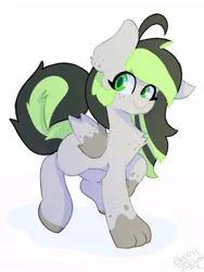 Size: 768x1024 | Tagged: safe, artist:beephstew_, derpibooru import, oc, oc:bree, oc:bree jetpaw, dog, dog pony, pegasus, cowlick, freckles, image, jpeg, paws, pegamutt, solo, spots