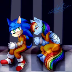 Size: 1024x1016 | Tagged: safe, artist:vegetitakawaii, derpibooru import, rainbow dash, pegasus, pony, bound wings, chained, clothes, cuffs, duo, image, jail, jpeg, prison, prison outfit, prisoner, prisoner rd, shackles, sonic the hedgehog, sonic the hedgehog (series), wings