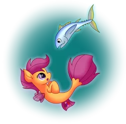Size: 2077x2053 | Tagged: safe, artist:purplespacedragon, derpibooru import, scootaloo, fish, pegasus, pony, seapony (g4), clothes, dorsal fin, female, fin wings, fins, fish tail, image, looking at each other, open mouth, png, purple eyes, seaponified, seapony scootaloo, see-through, simple background, solo, species swap, tail, transparent background, tuna, underwater, water, wings