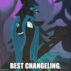 Size: 500x502 | Tagged: safe, derpibooru import, edit, edited screencap, screencap, queen chrysalis, changeling, changeling queen, frenemies (episode), best pony, caption, crown, cute, cutealis, female, happy, image, image macro, imgflip, jewelry, jpeg, needs more jpeg, regalia, smiling, solo, text, truth