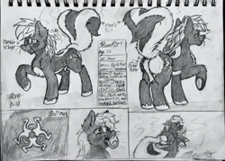Size: 1939x1386 | Tagged: safe, artist:reekosukanku, derpibooru import, oc, oc:bushy mustache, oc:reeko, pony, skunk, skunk pony, black and white, butt, butt fluff, cutie mark, front view, full body, grayscale, image, jpeg, large butt, lying down, male, monochrome, original character do not steal, part 1, raised hoof, raised tail, rear view, reference sheet, skunk stripe, tail, thick, traditional art, two toned hair