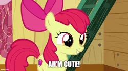 Size: 888x499 | Tagged: safe, derpibooru import, apple bloom, earth pony, pony, the fault in our cutie marks, accent, adorabloom, apple bloom's bow, bow, captain obvious, clubhouse, crusaders clubhouse, cute, cutie mark, female, filly, hair bow, i'm cute, image, jpeg, meme, solo