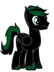 Size: 2121x2828 | Tagged: safe, artist:xboomdiersx, derpibooru import, oc, oc:boomdier, unofficial characters only, pegasus, absurd resolution, green and black mane, green and black oc, image, male, pegasus oc, png, simple background, solo, transparent background, unshorn fetlocks, vector, wings