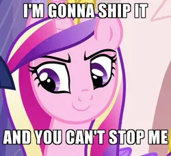 Size: 600x548 | Tagged: safe, derpibooru import, edit, edited screencap, screencap, princess cadance, alicorn, pony, games ponies play, caption, cropped, female, image, image macro, mare, meme, png, princess of shipping, raised eyebrow, smiling, smirk, smug, solo, text