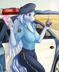 Size: 2441x2953 | Tagged: suggestive, artist:nantaly, derpibooru import, oc, oc:falling skies, unofficial characters only, anthro, pegasus, pony, birthday, birthday gift, blue coat, blue eyes, blue fur, braless, breasts, candle, car, clothes, cupcake, desert, erect nipples, feather, female, food, image, mare, multicolored hair, multicolored tail, nipple outline, pegasus oc, png, police, police car, police officer, police uniform, solo, solo female, vehicle, wings