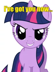 Size: 977x1280 | Tagged: artist needed, safe, derpibooru import, twilight sparkle, caption, close-up, evil grin, grin, image, jpeg, looking at you, rapeface, simple background, smiling, text, transparent background, vector, white background
