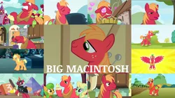 Size: 1968x1109 | Tagged: safe, derpibooru import, edit, edited screencap, editor:quoterific, screencap, apple honey, apple tarty, applejack, big macintosh, perfect pie, alicorn, cat, earth pony, pony, unicorn, do princesses dream of magic sheep, dungeons and discords, friendship is magic, going to seed, hard to say anything, leap of faith, lesson zero, magic duel, on your marks, the big mac question, the break up breakdown, the cutie pox, the super speedy cider squeezy 6000, alicornified, angry, apple, apple family member, big jackintosh, confused, cupcake, disguise, eyes closed, female, food, glowing horn, goggles, heart eyes, horn, image, magic, magic aura, male, open mouth, pancakes, png, princess big mac, race swap, sir mcbiggen, solo, surprised, trio, unicorn big mac, wingding eyes