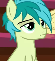 Size: 687x768 | Tagged: safe, derpibooru import, screencap, huckleberry, sandbar, earth pony, pegasus, pony, a matter of principals, cropped, friendship student, image, male, png, sandbar is not amused, unamused