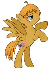 Size: 282x400 | Tagged: safe, artist:emerald star, derpibooru import, ponified, pegasus, pony, hetalia, image, nation ponies, png, rearing, simple background, solo, united states, white background