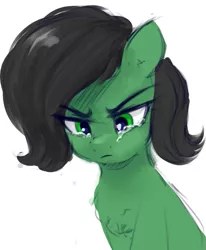 Size: 419x508 | Tagged: safe, artist:some_ponu, derpibooru import, oc, oc:anonfilly, earth pony, pony, angry, crying, female, filly, image, png, simple background, white background