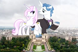Size: 1300x867 | Tagged: safe, derpibooru import, fancypants, fleur-de-lis, pony, unicorn, female, giant pony, giantess, highrise ponies, image, irl, macro, male, mare, paris, photo, png, ponies in real life, stallion, story included