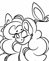 Size: 1080x1350 | Tagged: safe, artist:tessa_key_, derpibooru import, oc, unofficial characters only, butterfly, earth pony, insect, pony, bow, bust, earth pony oc, hair bow, image, jpeg, lineart, monochrome, one eye closed, simple background, smiling, solo, white background, wink