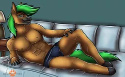 Size: 1280x794 | Tagged: suggestive, artist:sinister-jordex, derpibooru import, oc, oc:jaeger sylva, unofficial characters only, anthro, earth pony, unguligrade anthro, abs, bulges, clothes, commission, couch, digital art, image, looking at you, lying down, male, male nipples, muscles, nipples, nudity, partial nudity, pecs, png, pose, smiling, smiling at you, solo, solo male, speedo, tail, topless, ych result