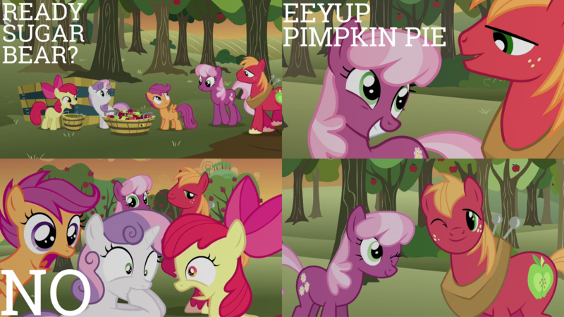 Size: 1986x1117 | Tagged: safe, derpibooru import, edit, edited screencap, editor:quoterific, screencap, apple bloom, big macintosh, cheerilee, scootaloo, sweetie belle, earth pony, pegasus, pony, unicorn, hearts and hooves day (episode), apple, bow, bucket, cutie mark crusaders, duo, female, food, gritted teeth, hooves on mouth, image, male, one eye closed, open mouth, png, teeth, wink