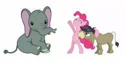 Size: 1275x639 | Tagged: safe, artist:andoanimalia, artist:dragonfoorum, derpibooru import, cranky doodle donkey, pinkie pie, donkey, elephant, image, jpeg, politics, simple background, transparent background, vector