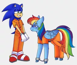 Size: 1915x1632 | Tagged: safe, artist:lilartsyprime, derpibooru import, rainbow dash, pegasus, pony, annoyed, clothes, cuffs, duo, female, image, male, mare, png, prison outfit, prisoner, prisoner rd, sonic the hedgehog, sonic the hedgehog (series)