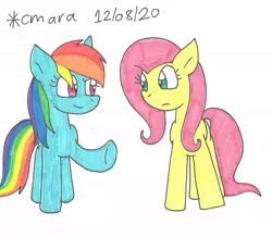 Size: 1202x1048 | Tagged: safe, artist:cmara, derpibooru import, fluttershy, rainbow dash, pegasus, pony, duo, female, image, jpeg, mare, raised hoof, simple background, traditional art, white background